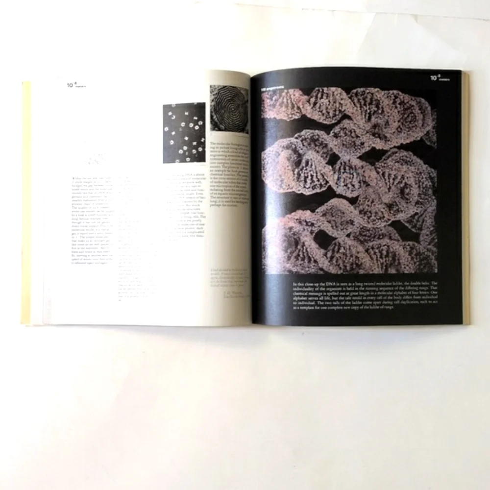 Powers of Ten - 1982 - Picture 13 of 14